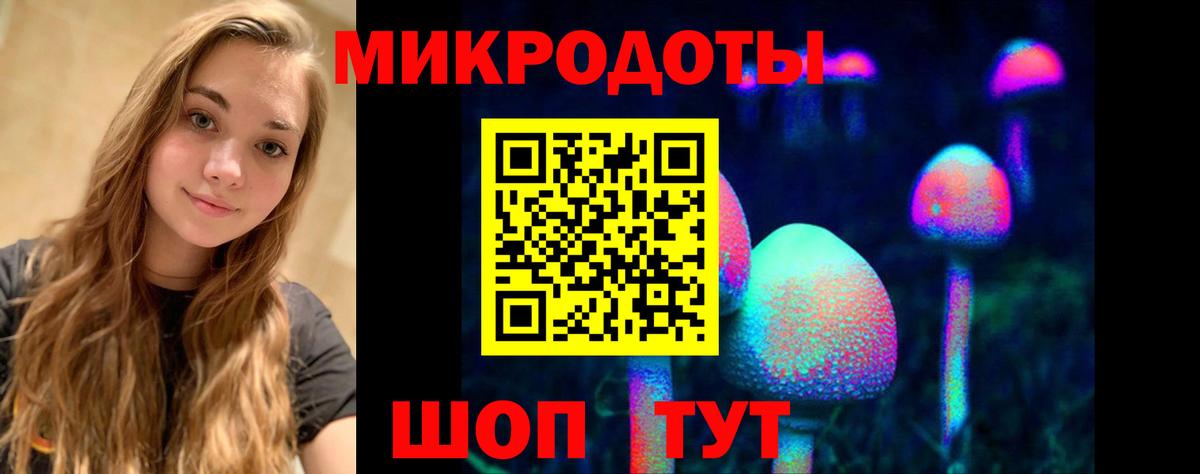 Псилоцибиновые грибы мицелий  Псилоцибиновые грибы прущие грибы  Вход с VPN  Краснодар 